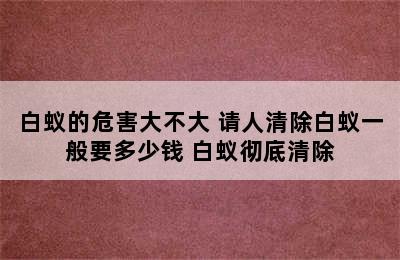 白蚁的危害大不大 请人清除白蚁一般要多少钱 白蚁彻底清除